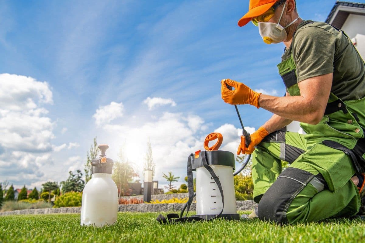 Lawn care specialist applying fertilizer to a lawn