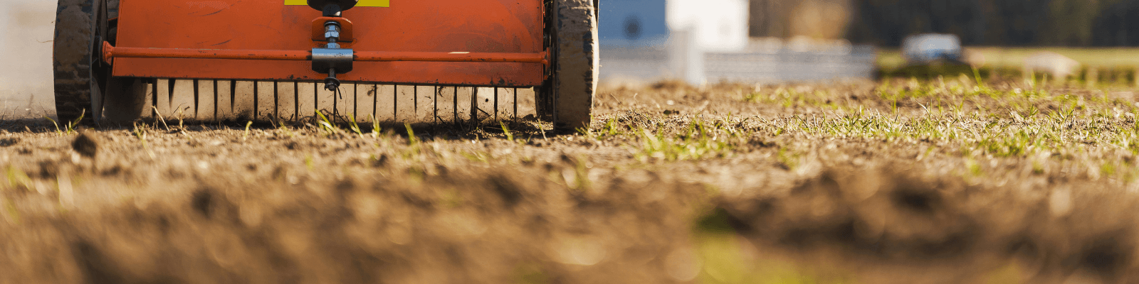 Renovation Season: Getting Turfgrass Choices Just Right