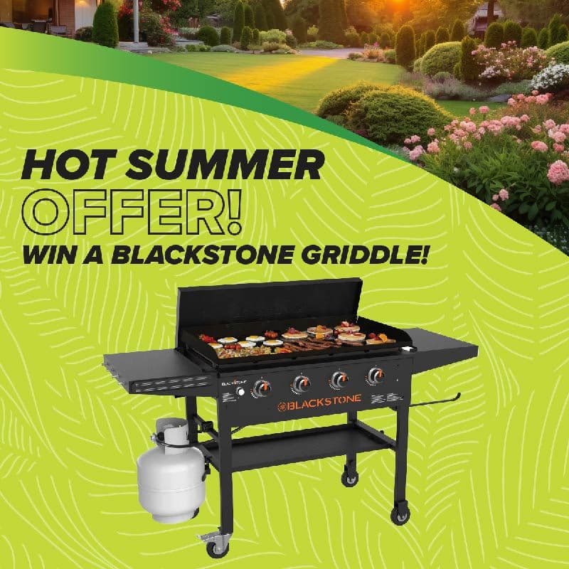 Oferta de Verano con Wolf Creek