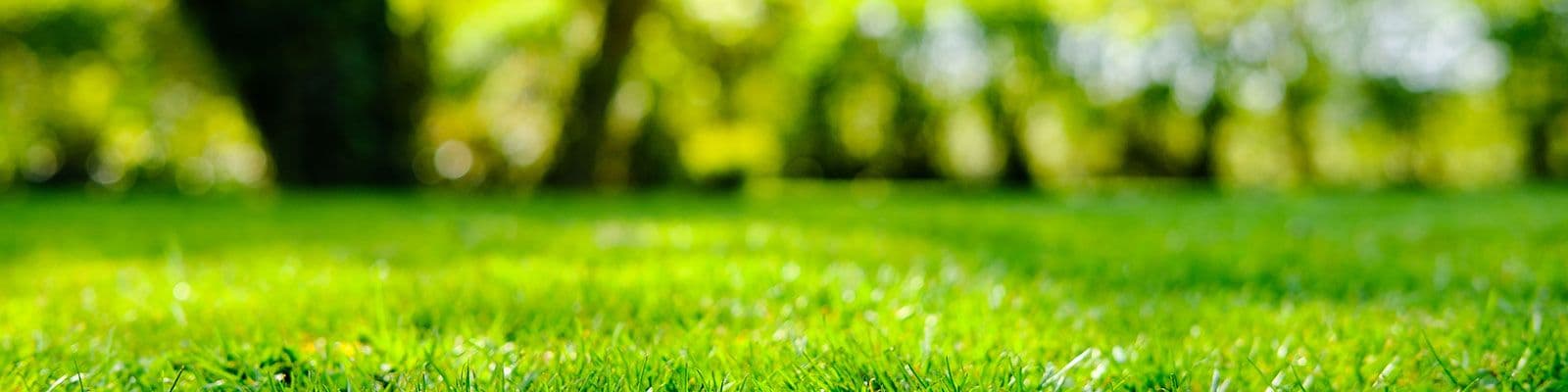 Diferencias entre Fosfatos y Fosfitos