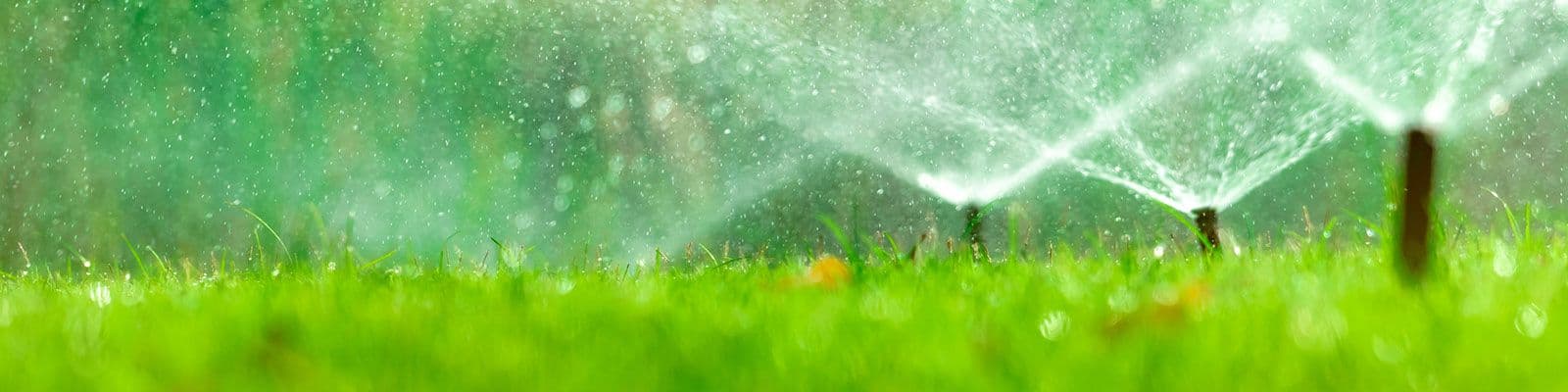 Smart Watering Practices: Efficiency and Sustainability in Your Landscape